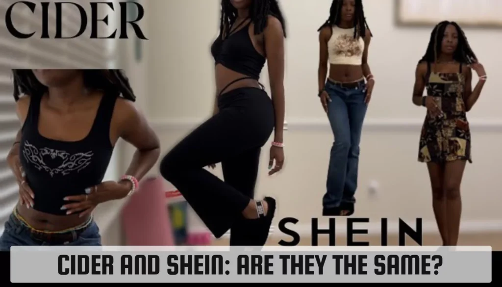 Cider and SHEIN: Are They the Same? Discover the Truth Cider and SHEIN