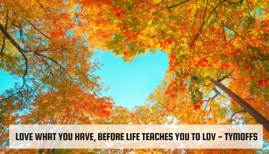 Love What You Have, Before Life Teaches You To Lov – Tymoffs Love What You Have, Before Life Teaches You To Lov - Tymoffs