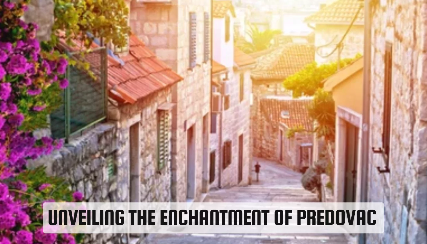 Predovac