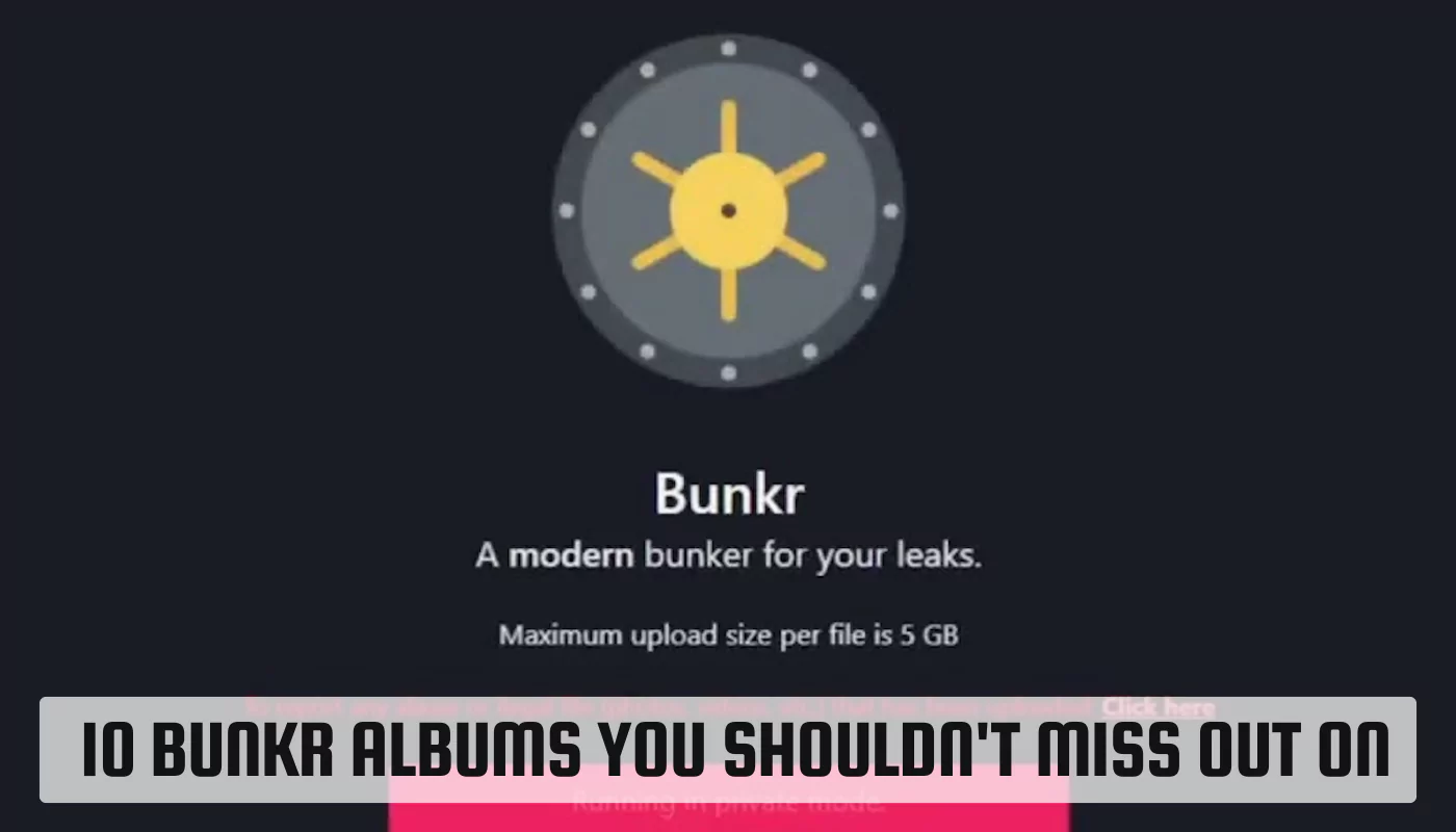 Bunkr Albums