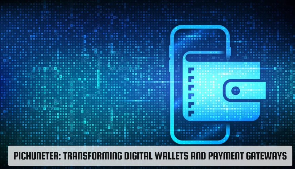 Pichuneter: Transforming Digital Wallets and Payment Gateways Pichuneter