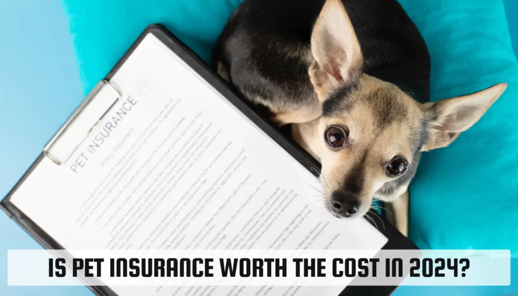 Is Pet Insurance Worth the Cost