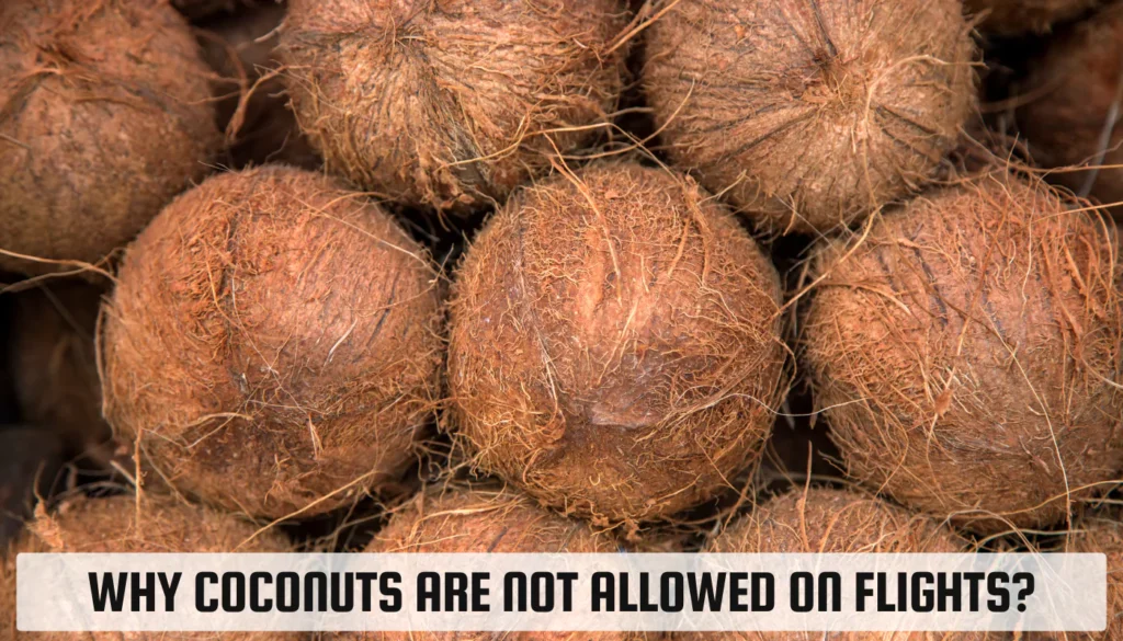 Why Coconuts Are Not Allowed On Flights? Why Coconuts Are Not Allowed On Flights