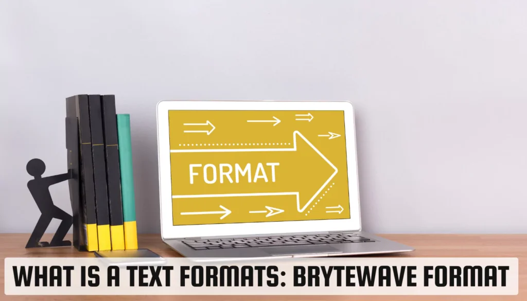 What Is a Text Formats: BryteWave Format 2024