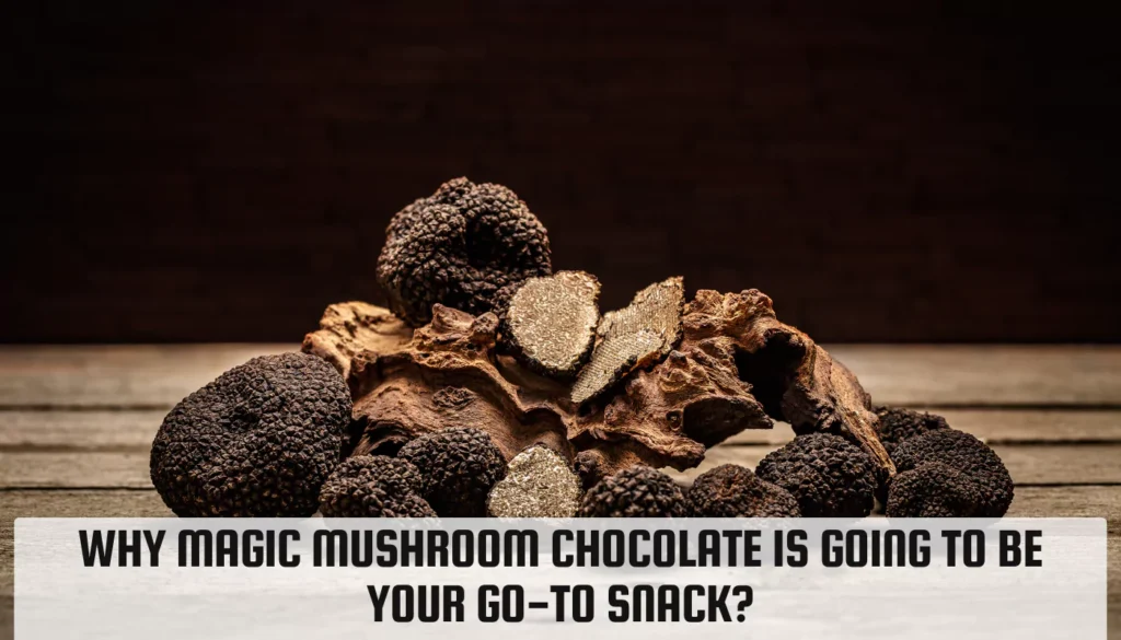 Why Magic Mushroom Chocolate Is Going To Be Your Go-To Snack