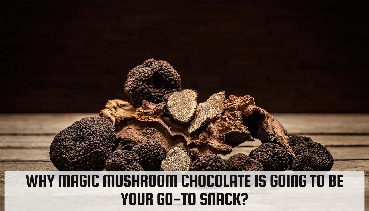 Why Magic Mushroom Chocolate Is Going To Be Your Go-To Snack