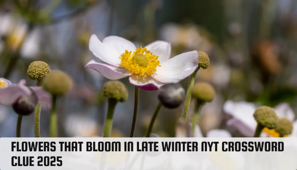 Flowers that bloom in late winter NYT Crossword Clue 2025 Flowers that bloom in late winter NYT Crossword Clue