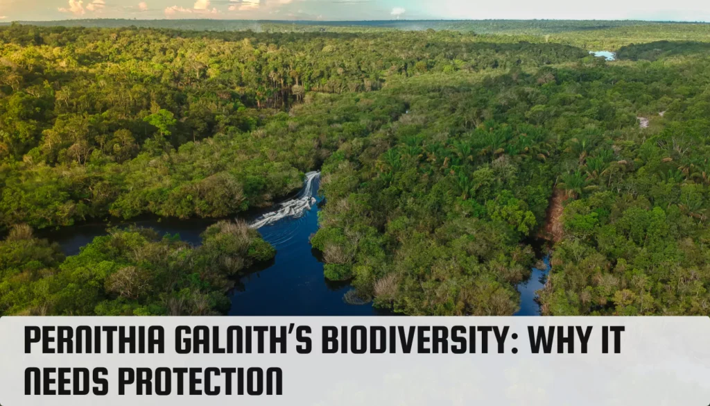Pernithia Galnith’s Biodiversity: Why It Needs Protection Pernithia Galnith’s Biodiversity