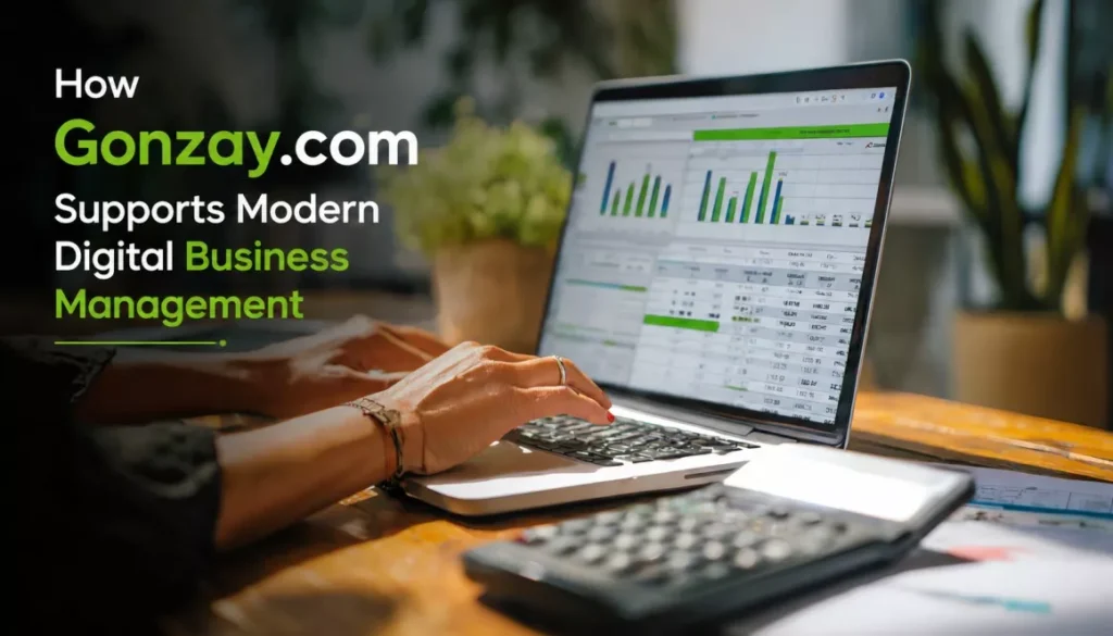 Business Software Gonzay.com