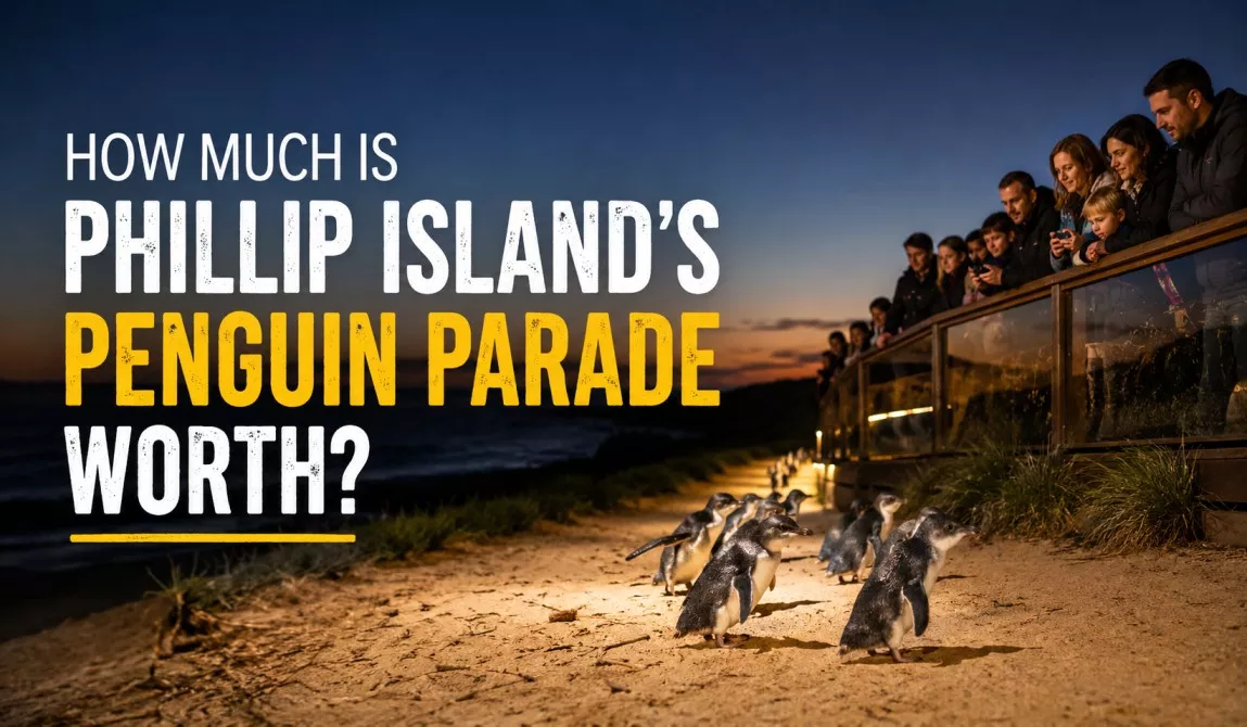 How Much Is Phillip Island’s Penguin Parade Worth