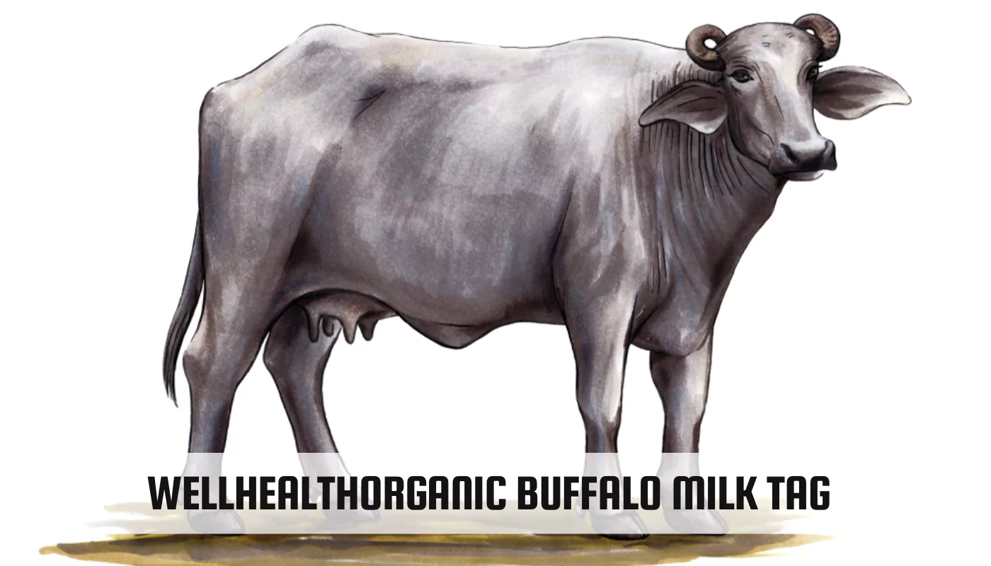 Wellhealthorganic Buffalo Milk Tag